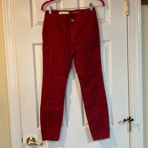 Anthropologie Pilcro red patterned denim Size 26 PETITE